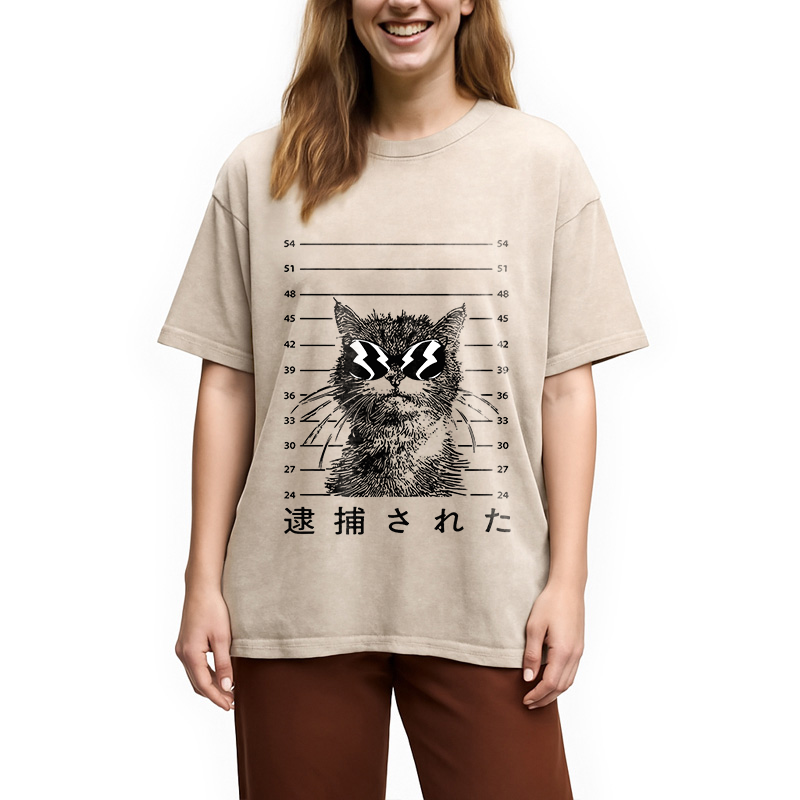 Modecanvas Cat Was Arrested  Washed T-Shirt