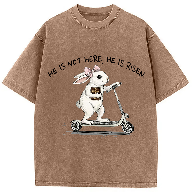 Modecanvas He Is Risen Easter Bunny DTG Printing Washed T-Shirt