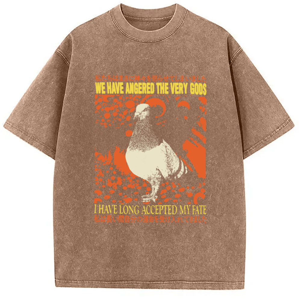 Modecanvas We Have Angered The Very Gods Washed T-Shirt