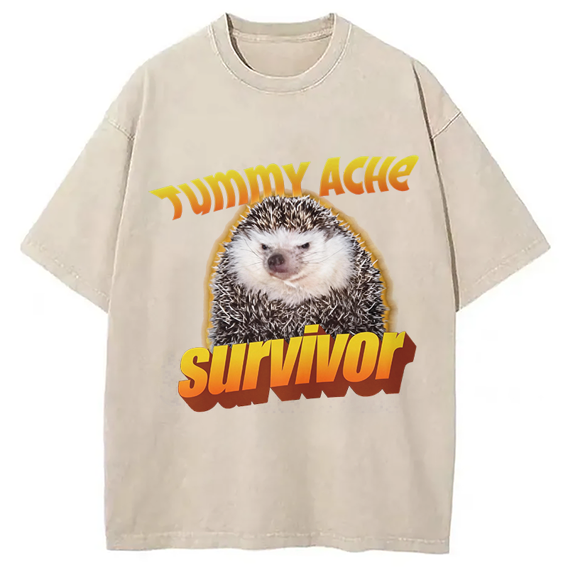 Modecanvas Tummy Ache Survivor Meme Washed T-Shirt-modecanvas