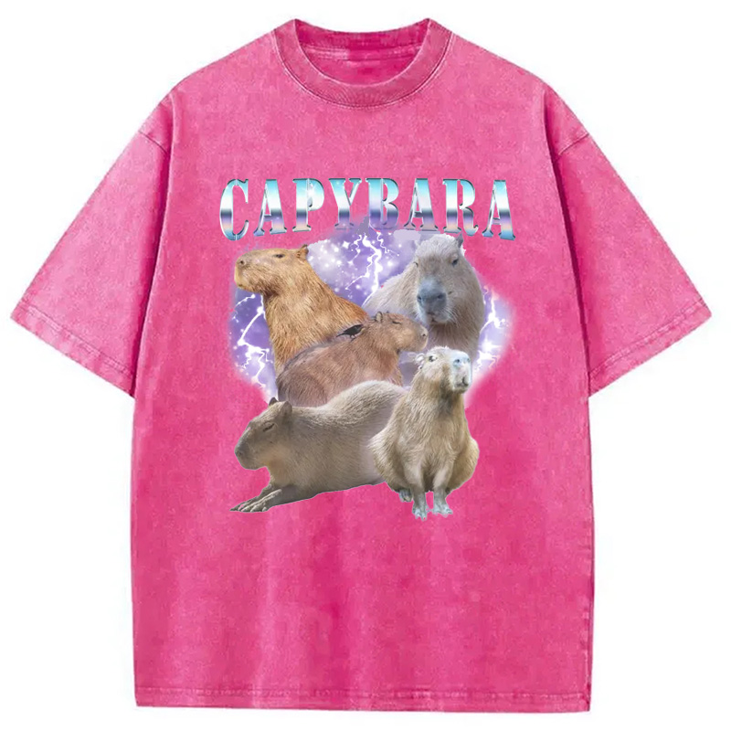Modecanvas Vintage Capybara Washed T-Shirt
