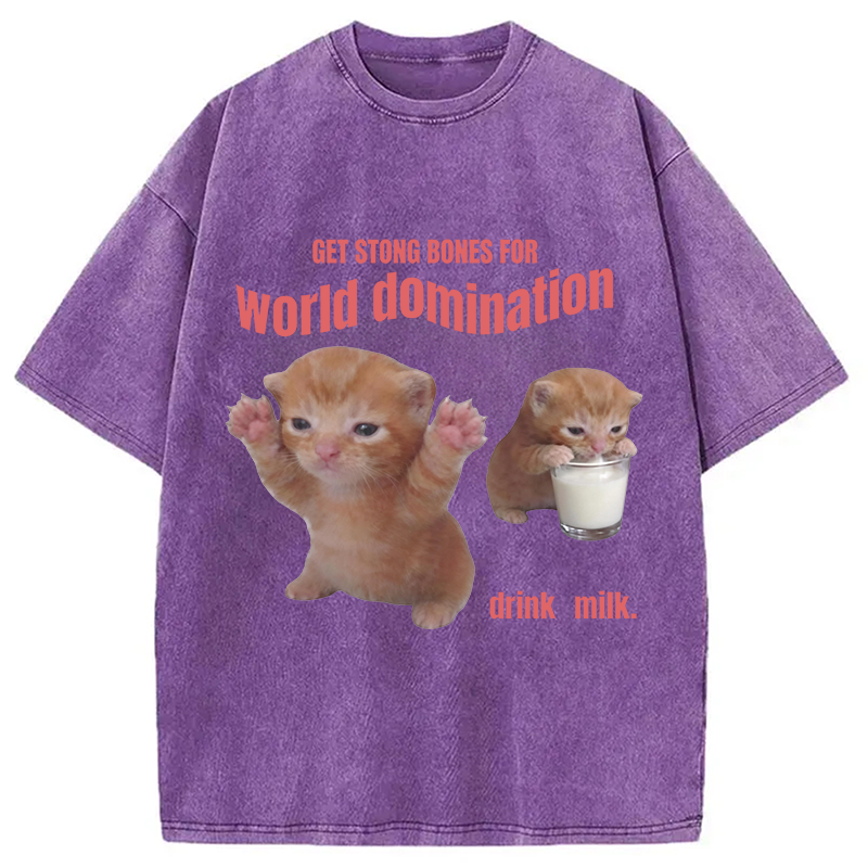 Modecanvas World Domination Cat Meme DTG Printing Washed T-Shirt
