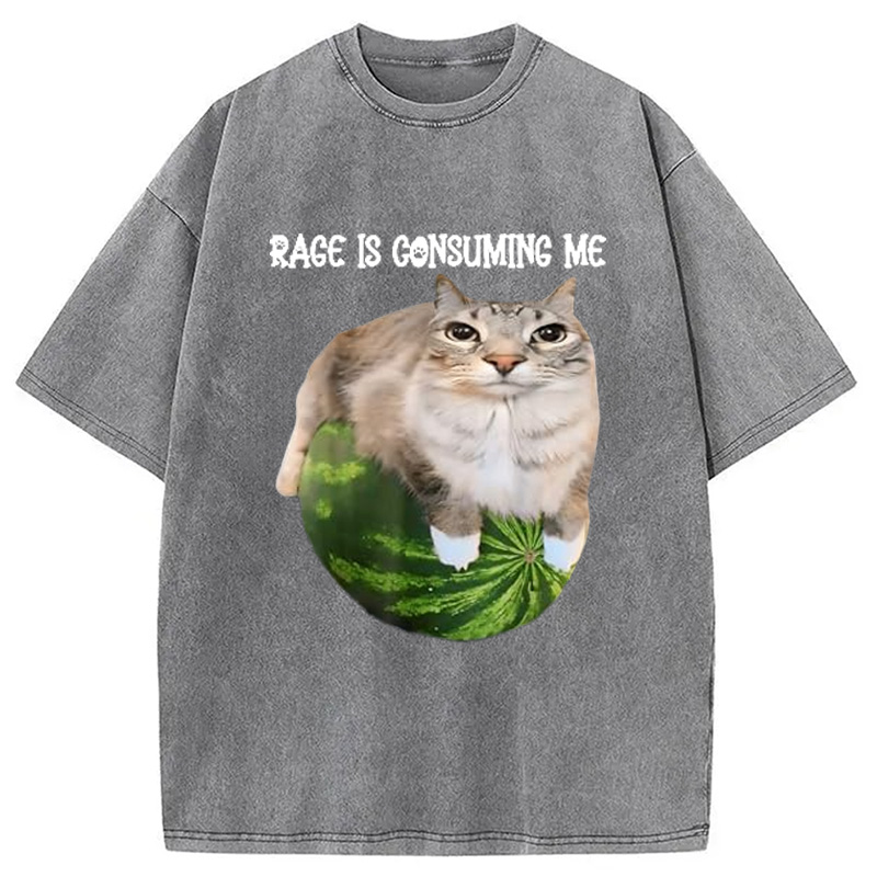 Modecanvas Rage Is Consuming Me Cat Meme Washed T-Shirt-modecanvas