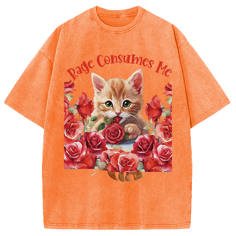Modecanvas Rage Consumes Me Cat DTG Printing Washed T-Shirt