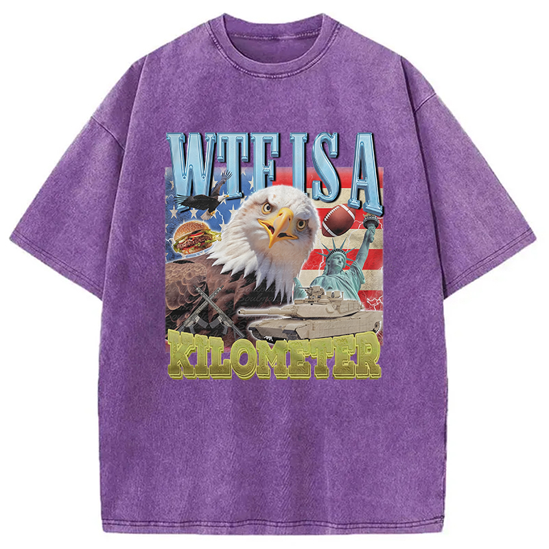 Modecanvas Funny Eagle Meme Washed T-Shirt-modecanvas