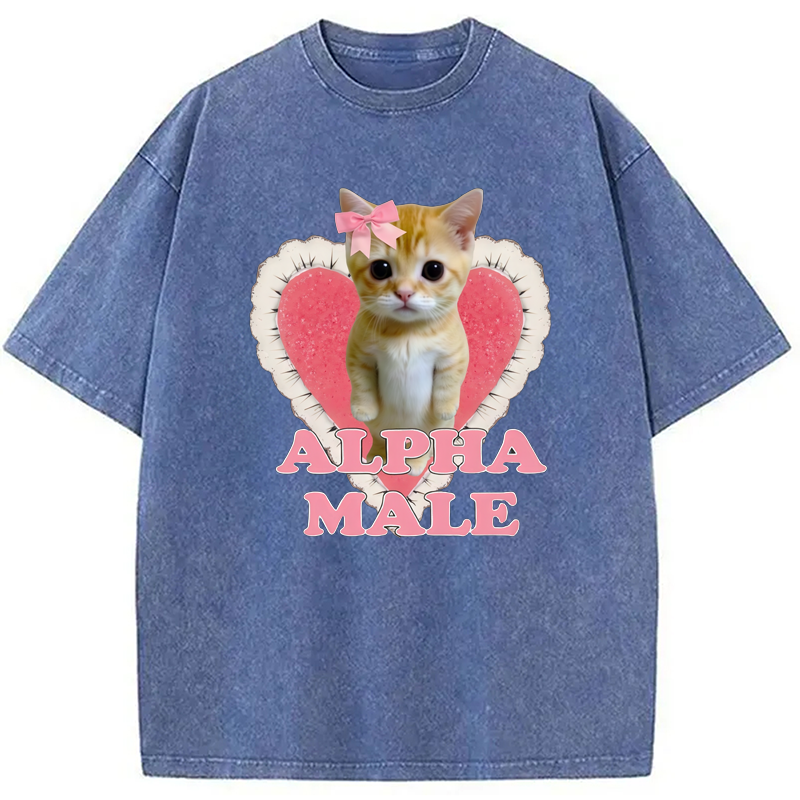 Modecanvas Alpha Male Kitten Washed T-Shirt