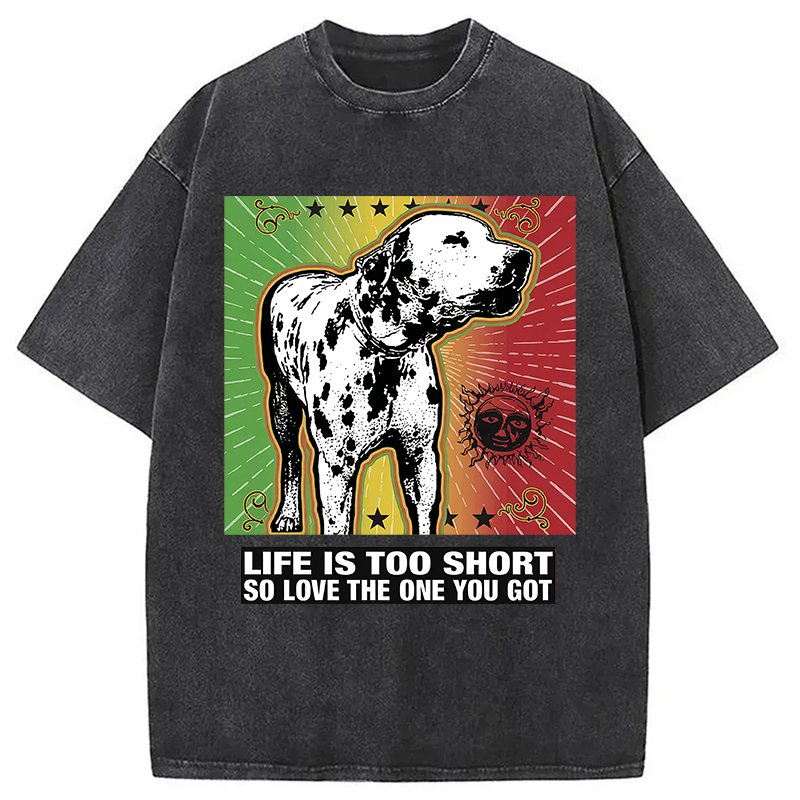 Modecanvas Life Is Too Short So Love The One You Got DTG Printing Washed T-Shirt