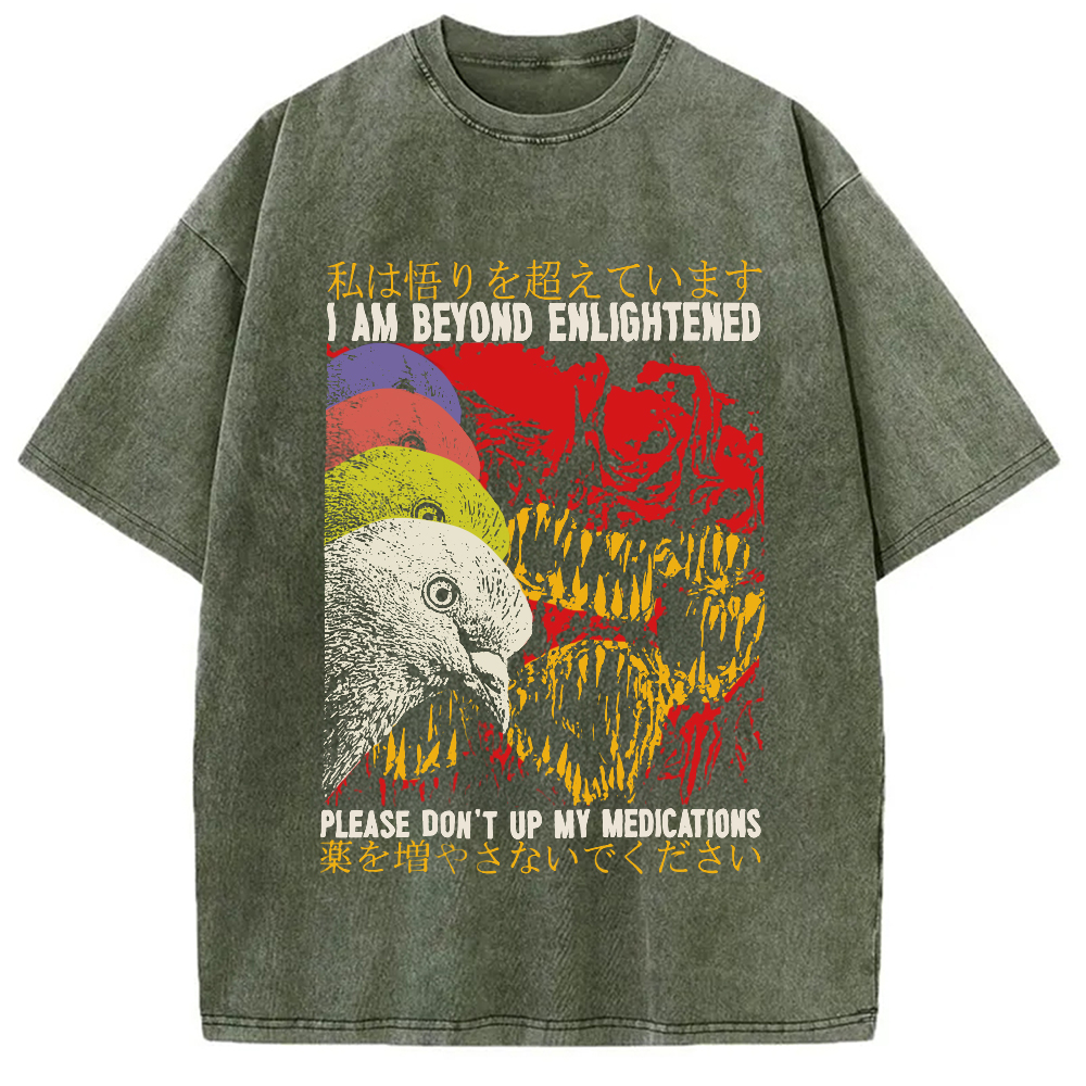 Modecanvas Beyond Enlightened Vintage Pigeon Washed T-Shirt