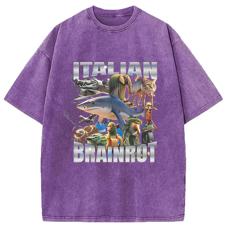 Modecanvas Italian Brainrot Washed T-Shirt