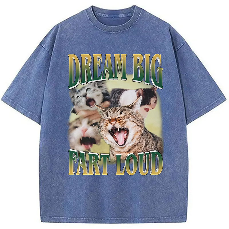 Modecanvas Dream Big Fart Loud Funny Cat Meme DTG Printing Washed T-Shirt