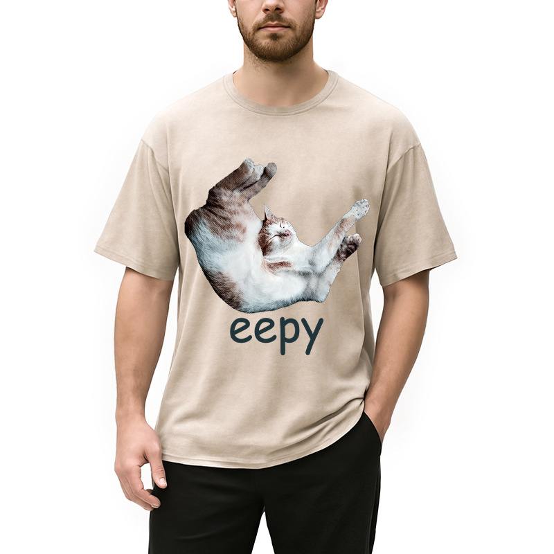 Modecanvas Silly Sleepy Cat Meme DTG Printing Washed T-Shirt
