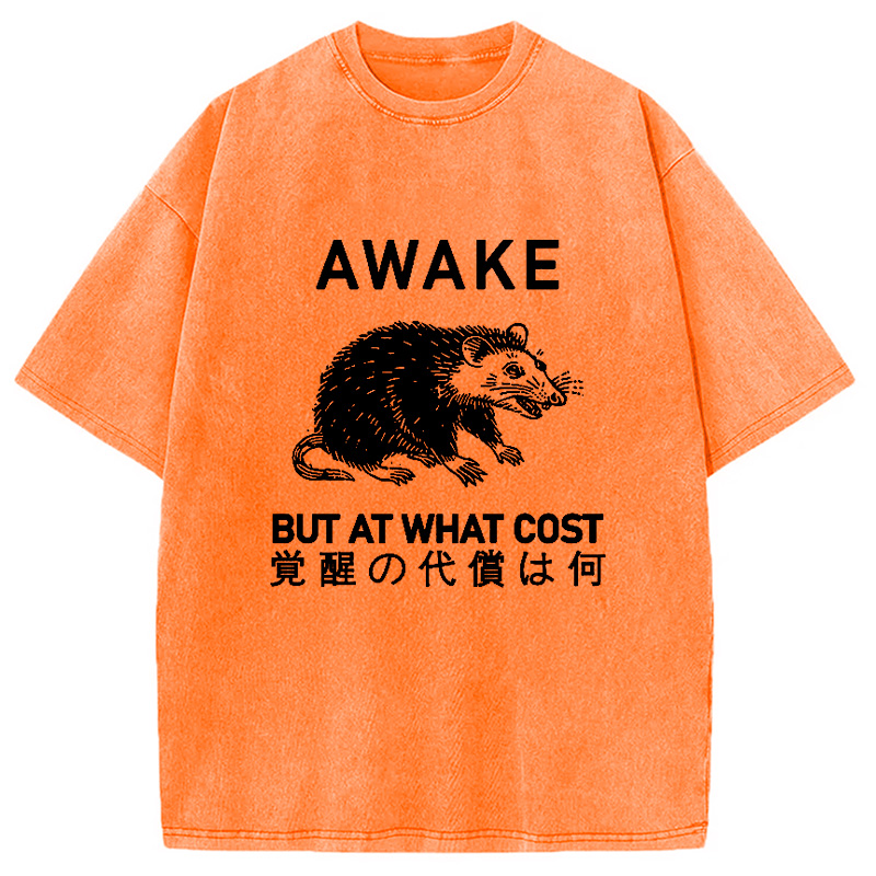 Modecanvas Desperate Possum Washed T-Shirt