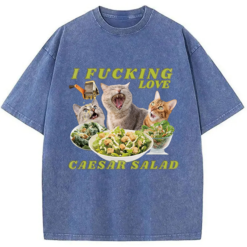 Modecanvas I Fucking Love Caesar Salad Cat Meme DTG Printing Washed T-Shirt