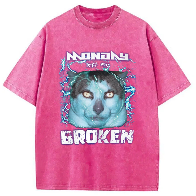 Modecanvas Monday Left Me Broken Cat DTG Printing Washed T-Shirt