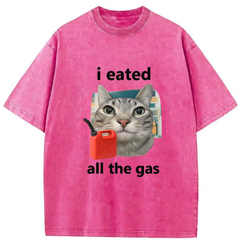Modecanvas I Eated All The Gas Cat Funny Washed T-Shirt-modecanvas
