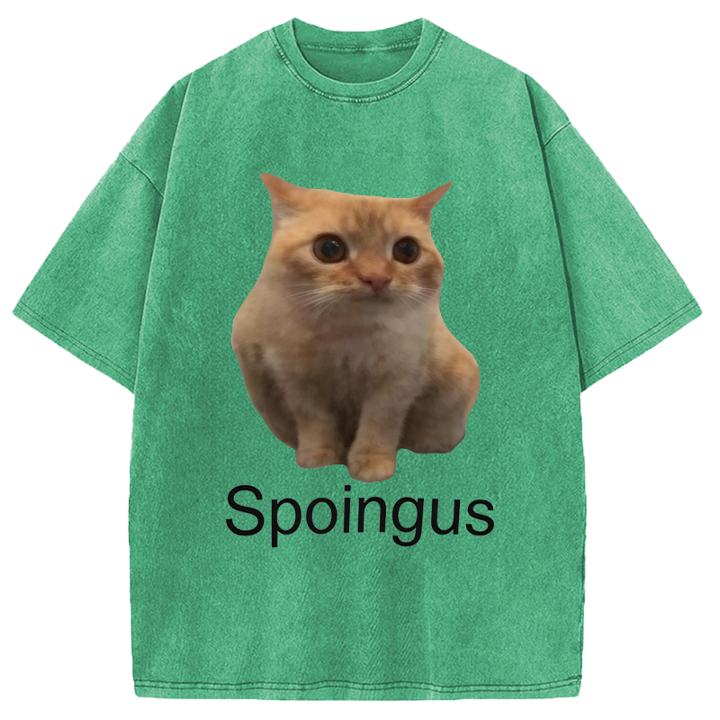 Modecanvas Spoingus The Cat Meme DTG Printing Washed T-Shirt
