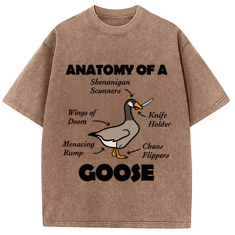 Modecanvas Anatomy of A Goose Washed T-Shirt