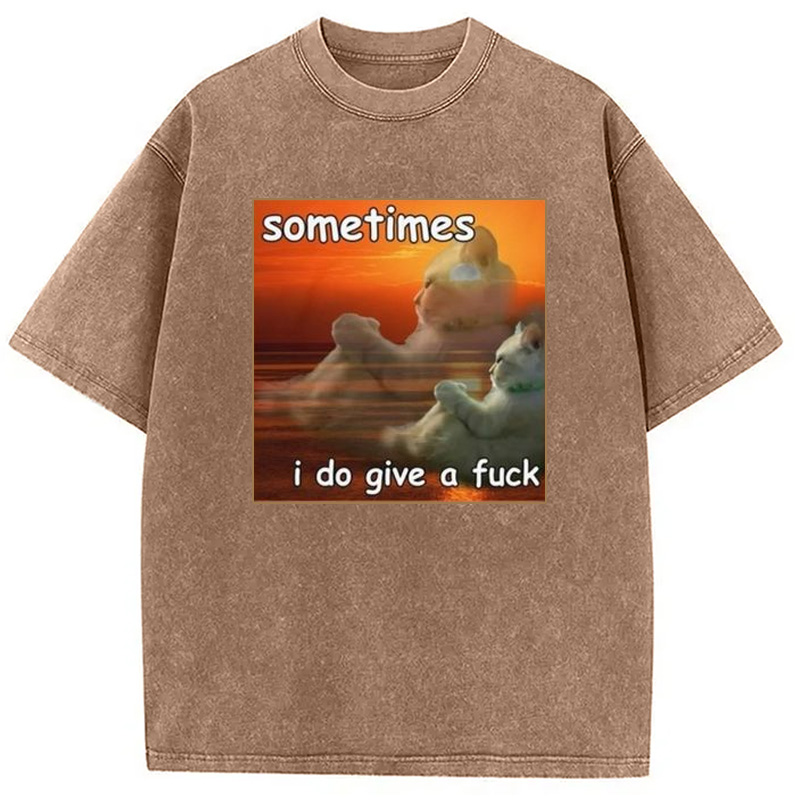 Modecanvas Sometimes I Do Give A Fxck Meme Washed T-Shirt