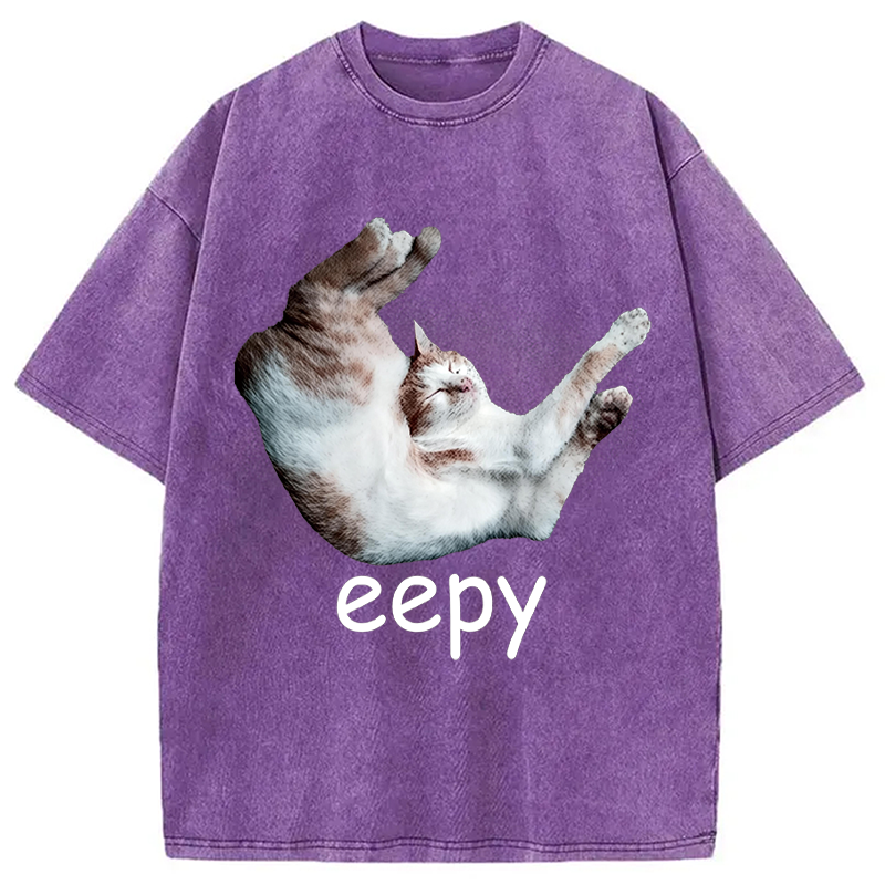 Modecanvas Silly Sleepy Cat Meme DTG Printing Washed T-Shirt