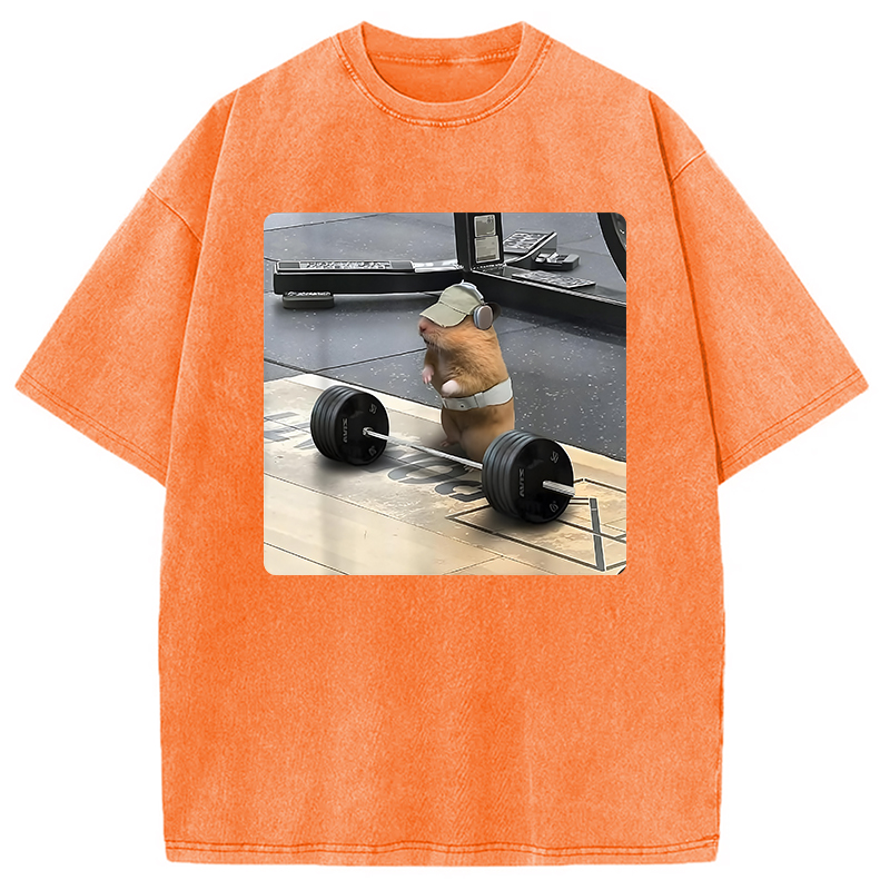 Modecanvas Funny Cute Rat Weightlifting Meme Washed T-Shirt-modecanvas