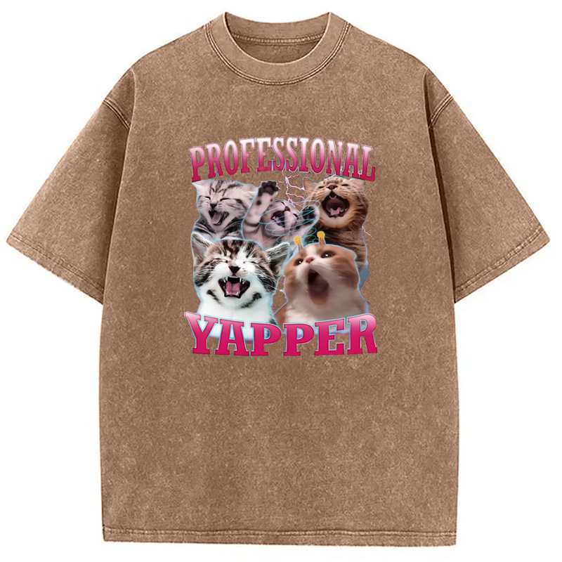 Modecanvas Professional Yapper Cat Washed T-Shirt