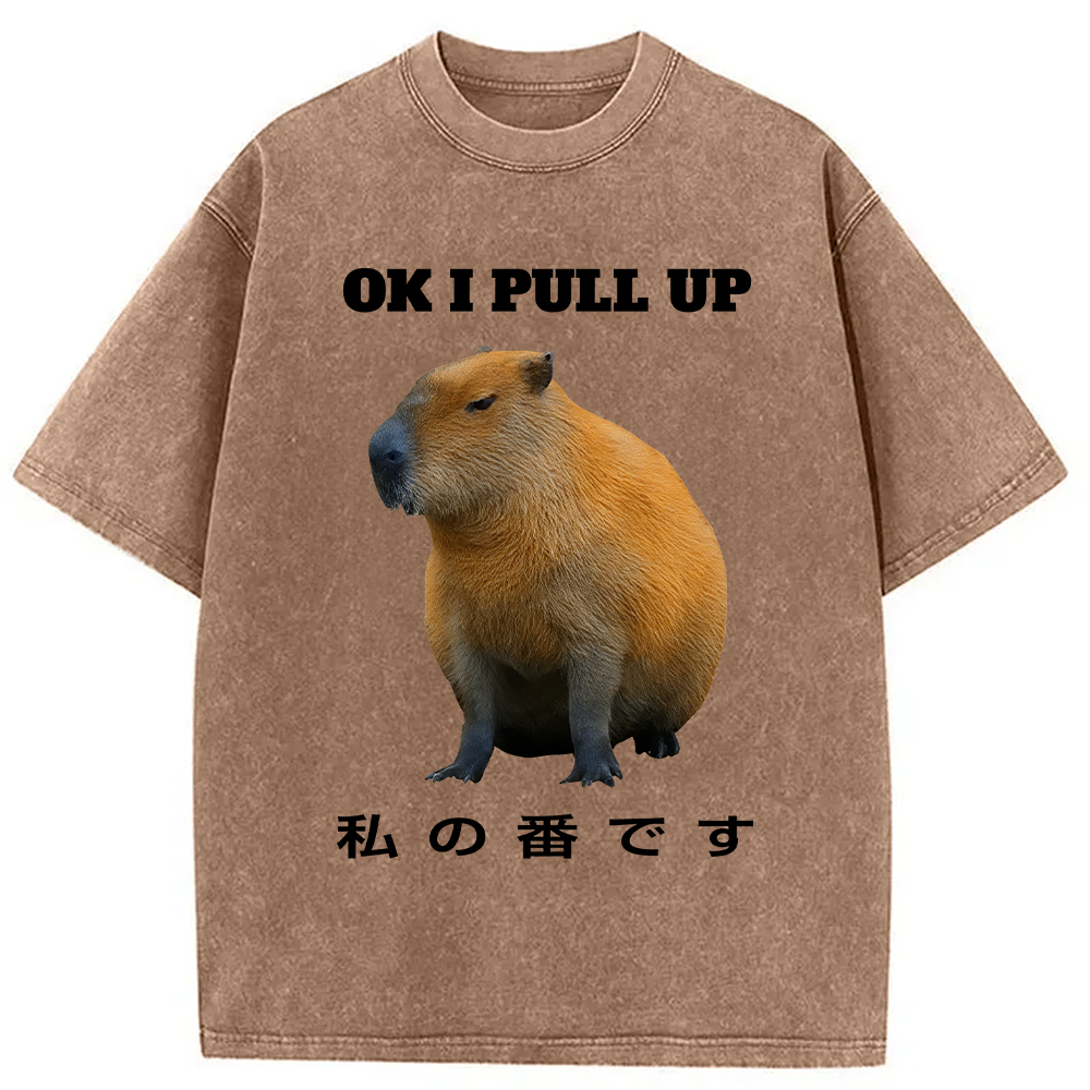 Modecanvas Ok I Pull Up Funny Capybara Washed T-Shirt