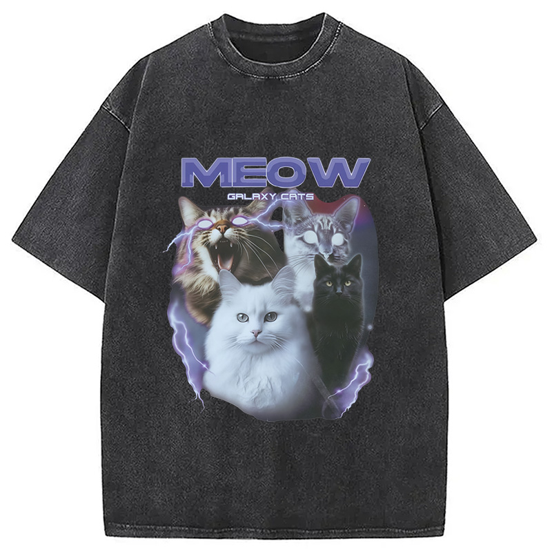 Modecanvas Neow Cat Meme Washed T-Shirt