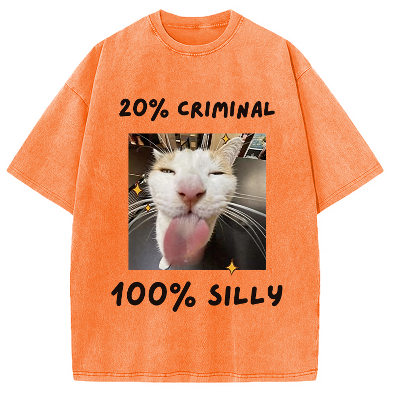 Modecanvas That Silly Cat Meme DTG Printing Washed T-Shirt