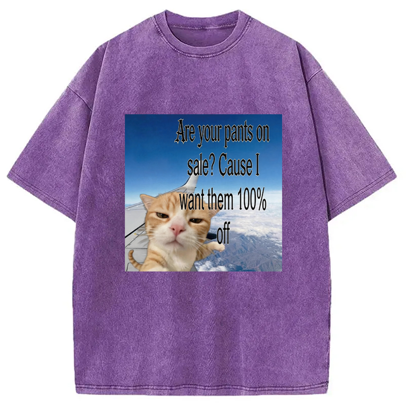 Modecanvas Are Your Pants On Sale? Cause I Want Them 100% Off DTG Printing Washed T-Shirt