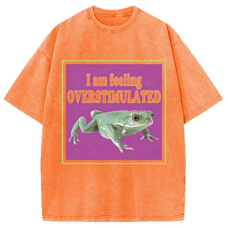 Modecanvas I Am Feeling Overstimulated DTG Printing Washed T-Shirt