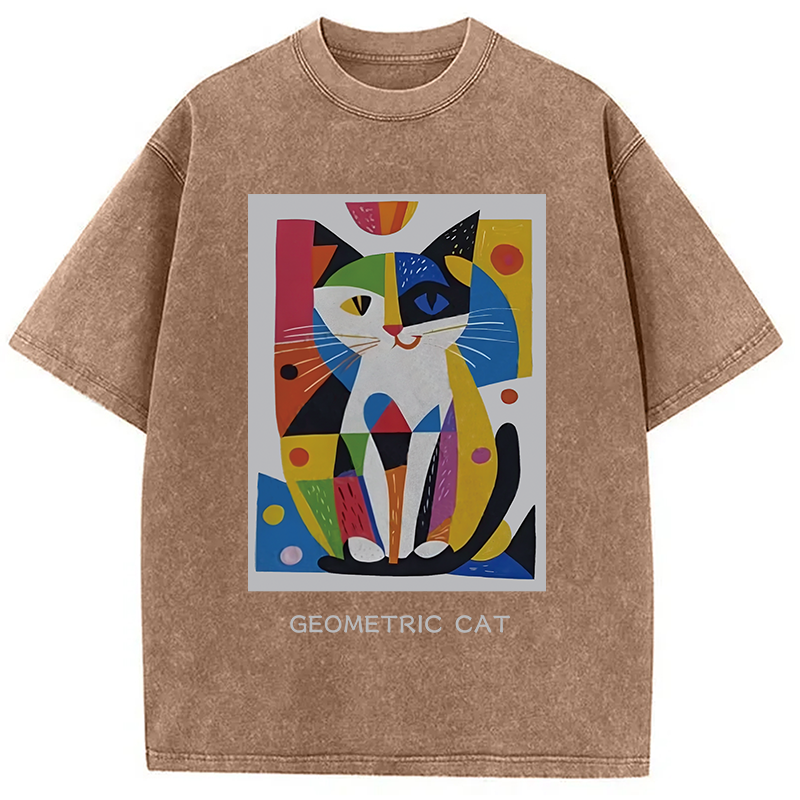 Modecanvas Vintage Picatso Cat Graffiti Washed T-Shirt