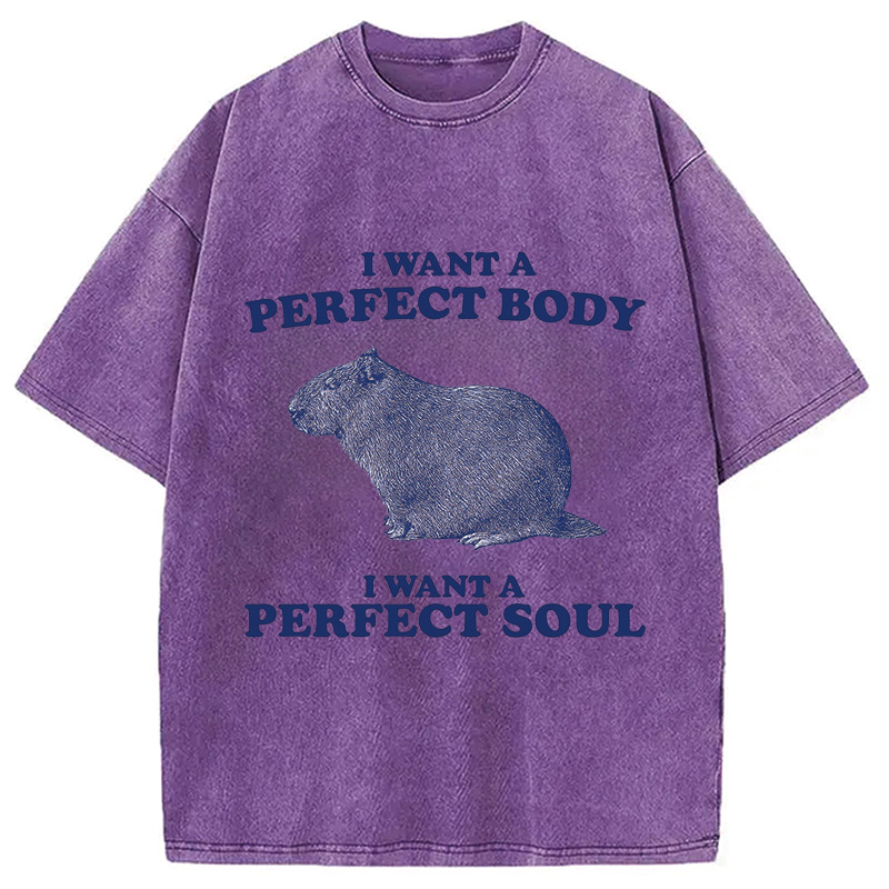 Modecanvas Capybara I Want A Perfect Washed T-Shirt