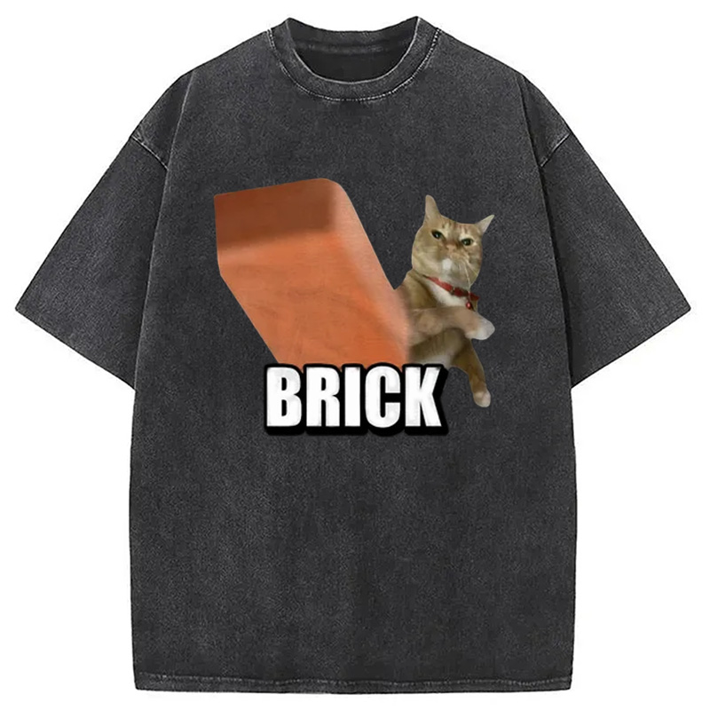 Modecanvas Funny Cat Throwing Brick Washed T-Shirt
