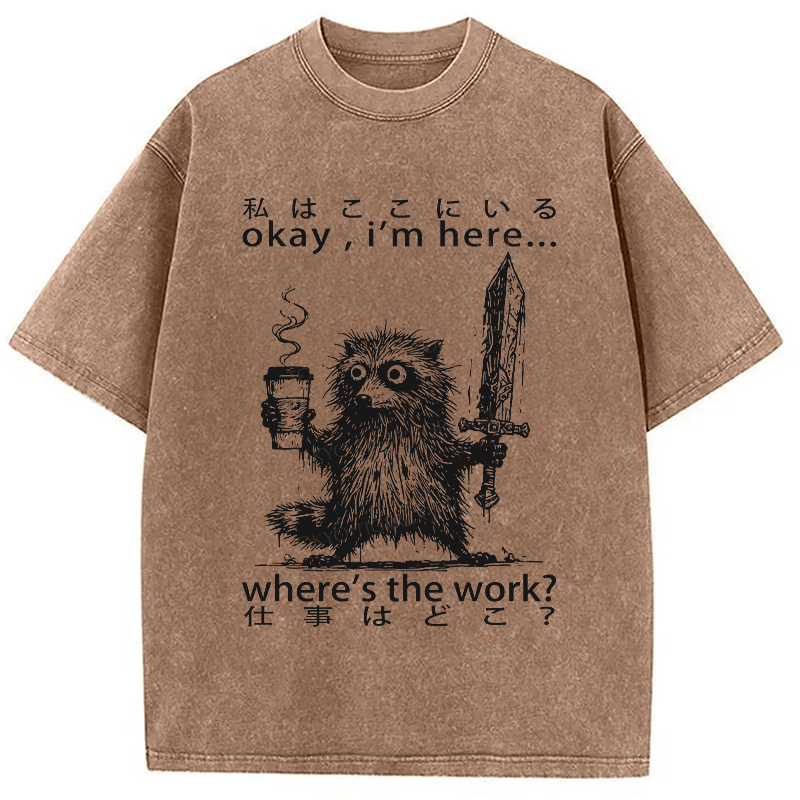 Modecanvas Raccoon Ready To Work Washed T-Shirt