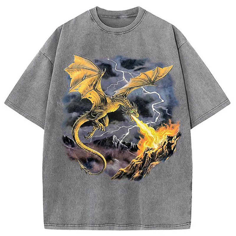 Modecanvas Vintage Dragon DTG Printing Washed T-Shirt