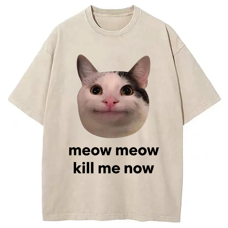 Modecanvas Meow Meow Kill Me Now Polite Cat Meme DTG Printing Washed T-Shirt