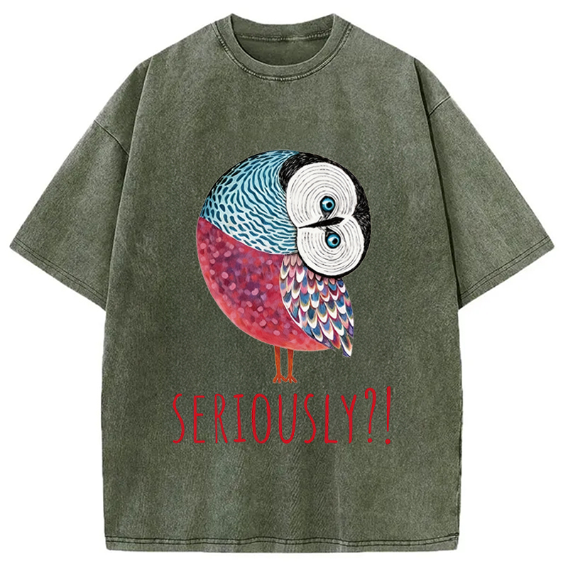 Modecanvas Seriously Art Owl DTG Printing Washed T-Shirt