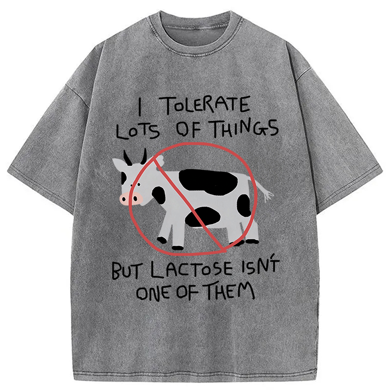 Modecanvas I Tolerate Lots Of Things DTG Printing Washed T-Shirt
