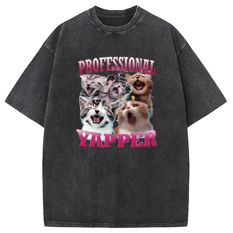 Modecanvas Professional Yapper Cat Washed T-Shirt