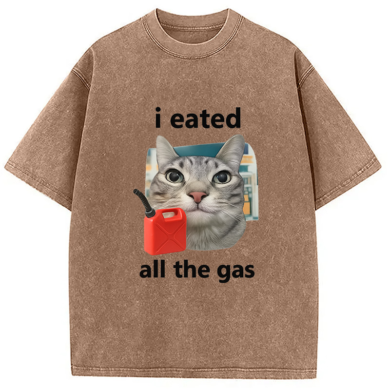 Modecanvas I Eated All The Gas Cat Funny Washed T-Shirt-modecanvas