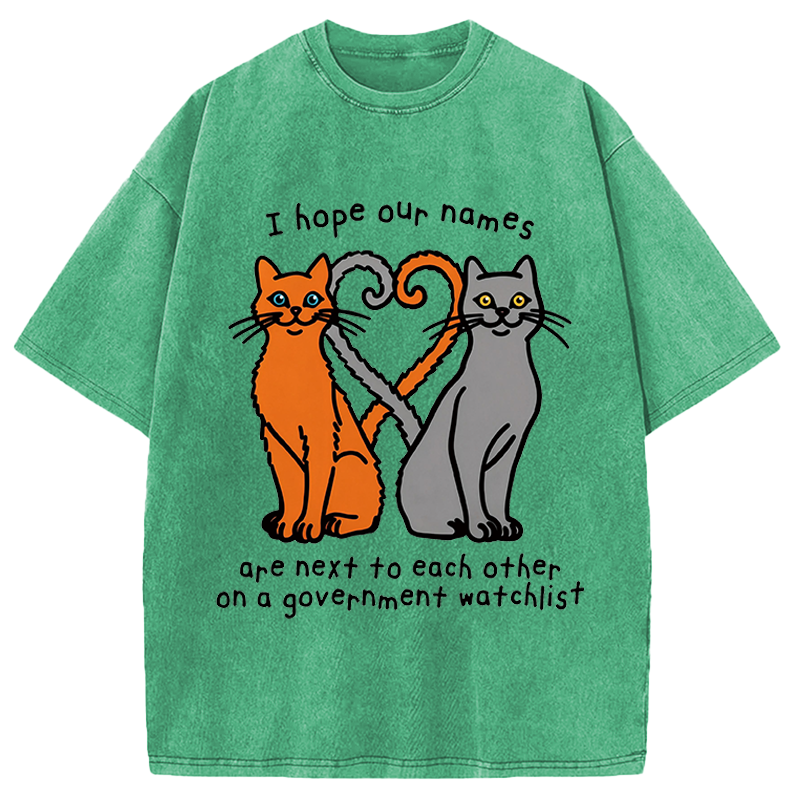 Modecanvas I Hope Our Names Are Next To Each Other Cat Meme DTG Printing Washed T-Shirt