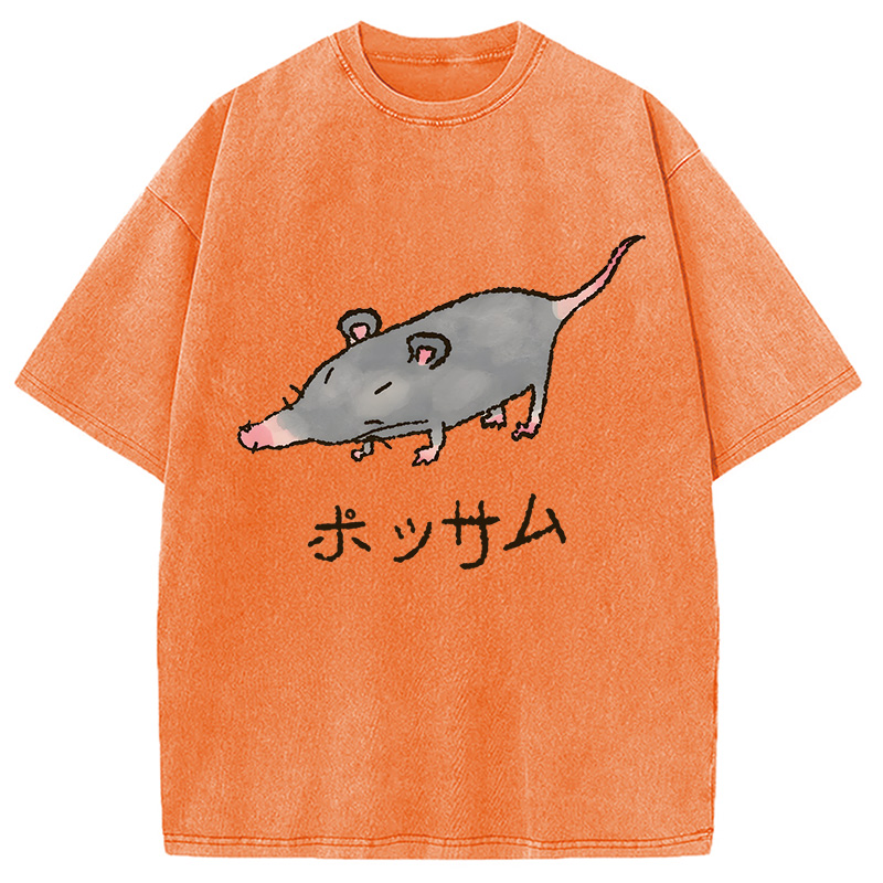 Modecanvas Possamu Rat Washed T-Shirt