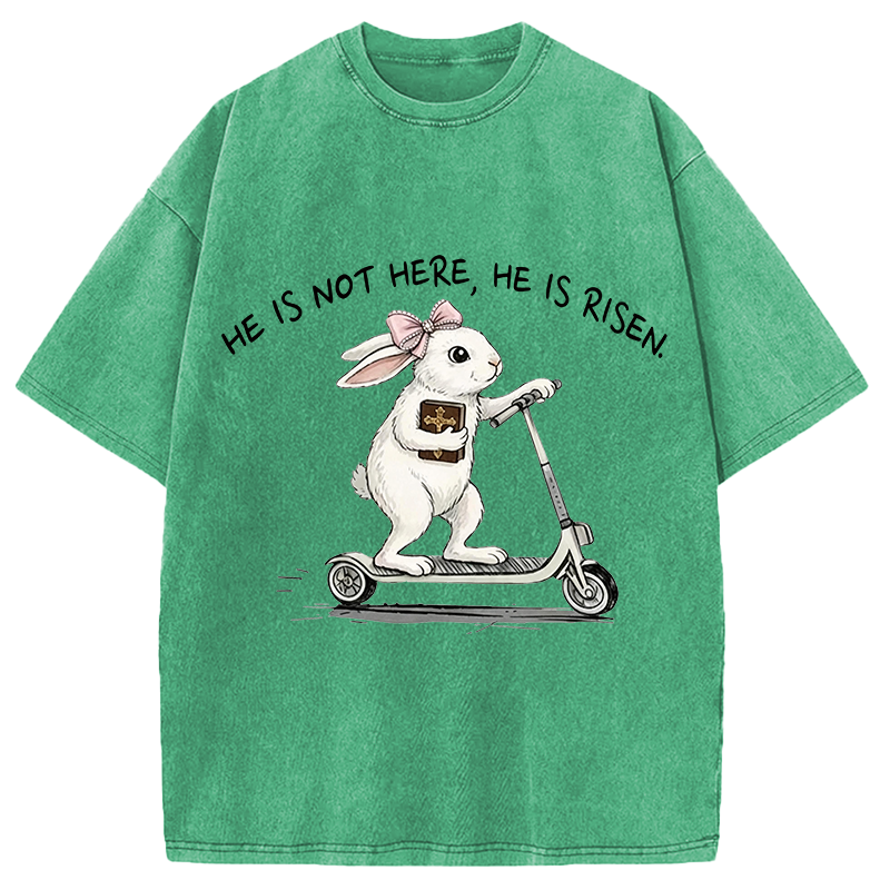 Modecanvas He Is Risen Easter Bunny DTG Printing Washed T-Shirt