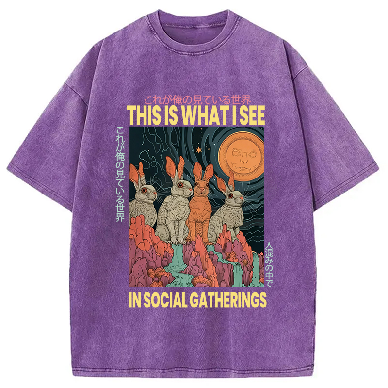 Modecanvas Funny Rabbit Japanese Social Anxiety DTG Printing Washed T-Shirt-modecanvas
