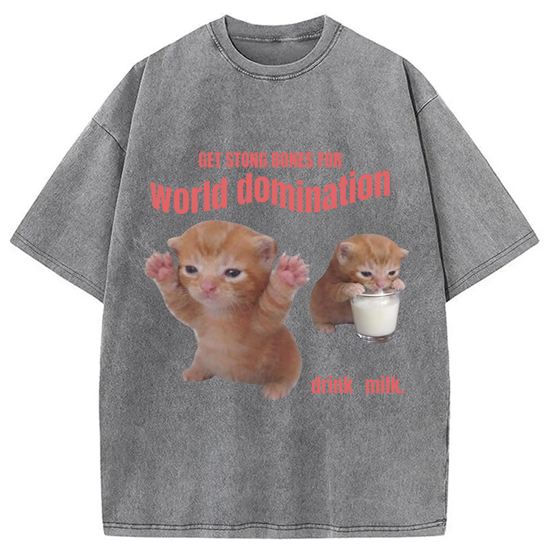 Modecanvas World Domination Cat Meme DTG Printing Washed T-Shirt