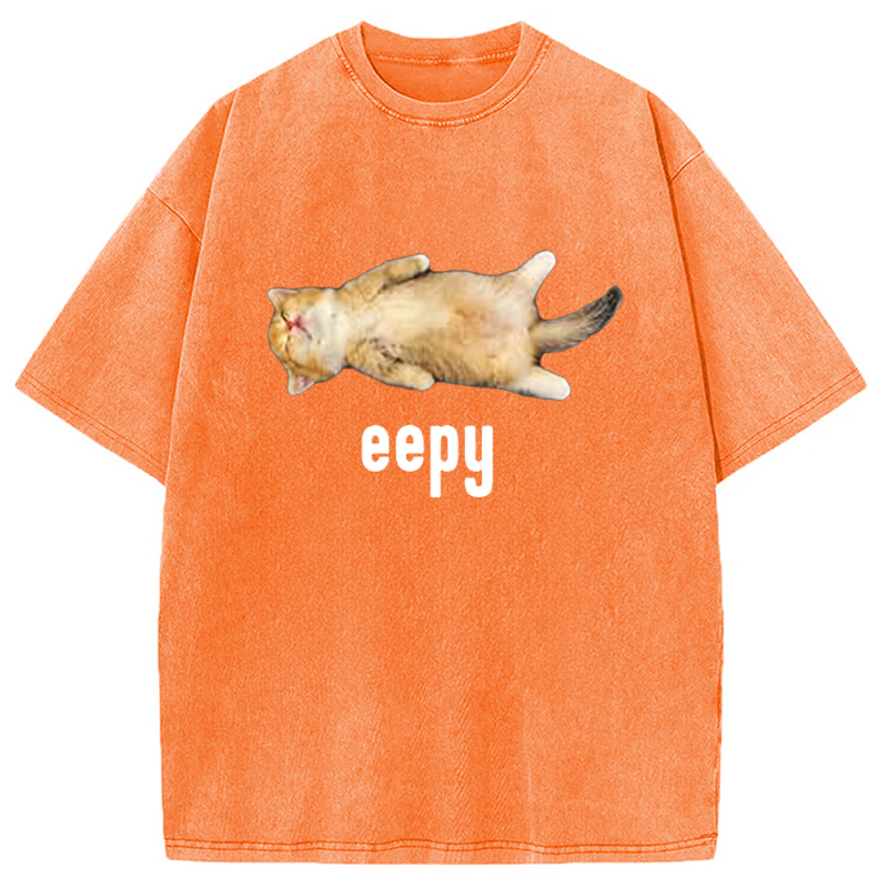 Modecanvas Silly Sleepy Cat Meme Washed T-Shirt-modecanvas