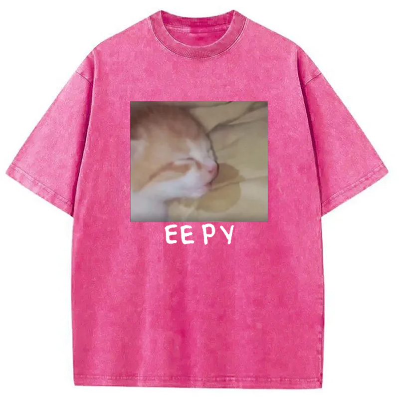 Modecanvas Eepy Kitty Meme Washed T-Shirt