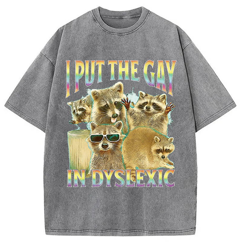 Modecanvas I Put The Gay In Dyslexic Funny Raccoon Meme DTG Printing Washed T-Shirt