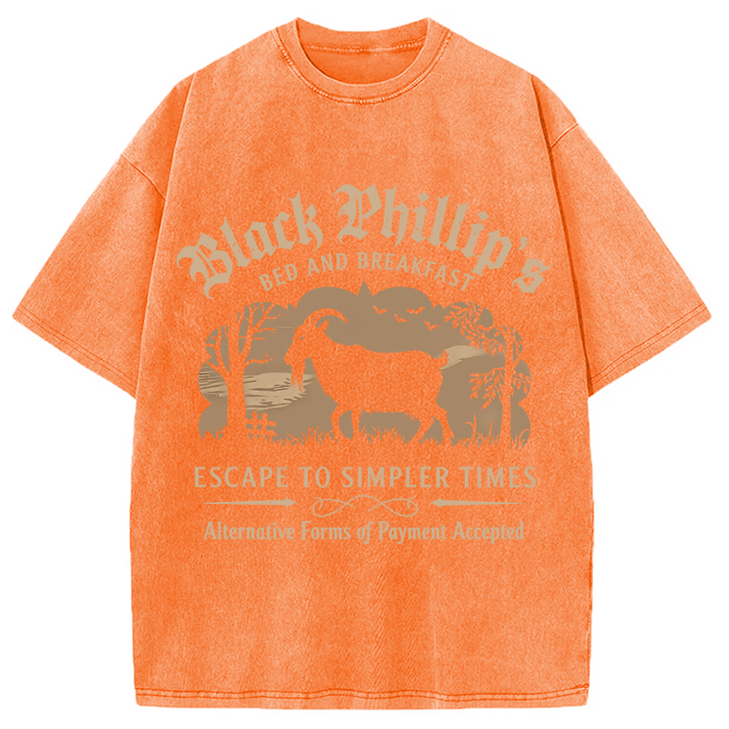 Modecanvas Black Phillip Bed & Breakfast DTG Printing Washed T-Shirt