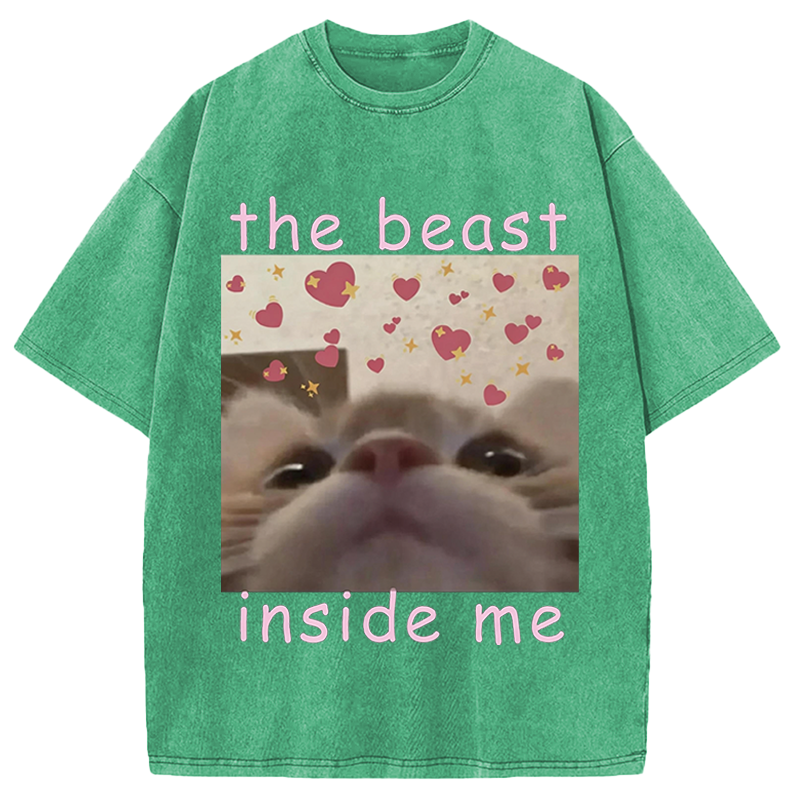 Modecanvas The beast inside me Cat Meme DTG Printing Washed T-Shirt